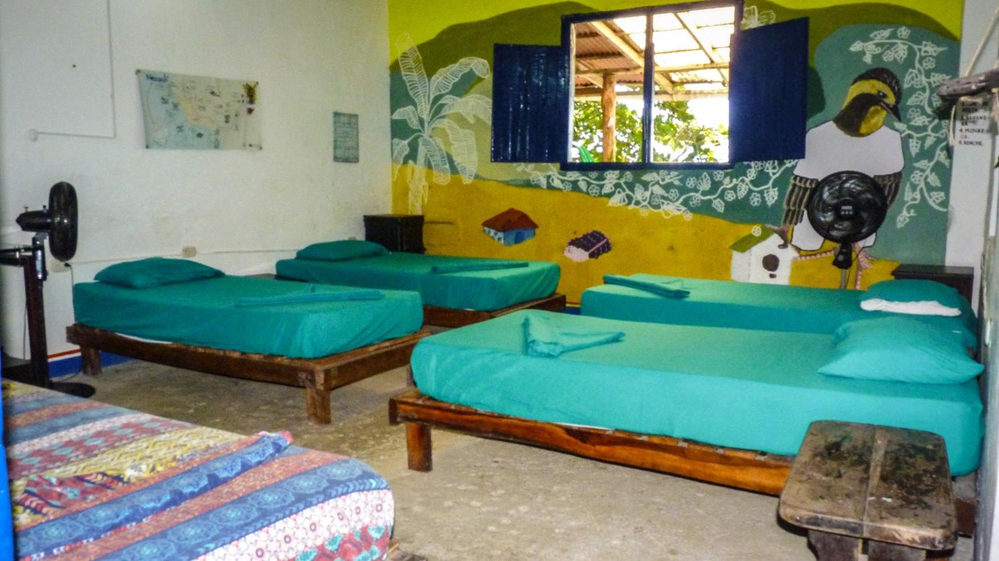 Hostal La Mariapolis Necoclí Zewnętrze zdjęcie